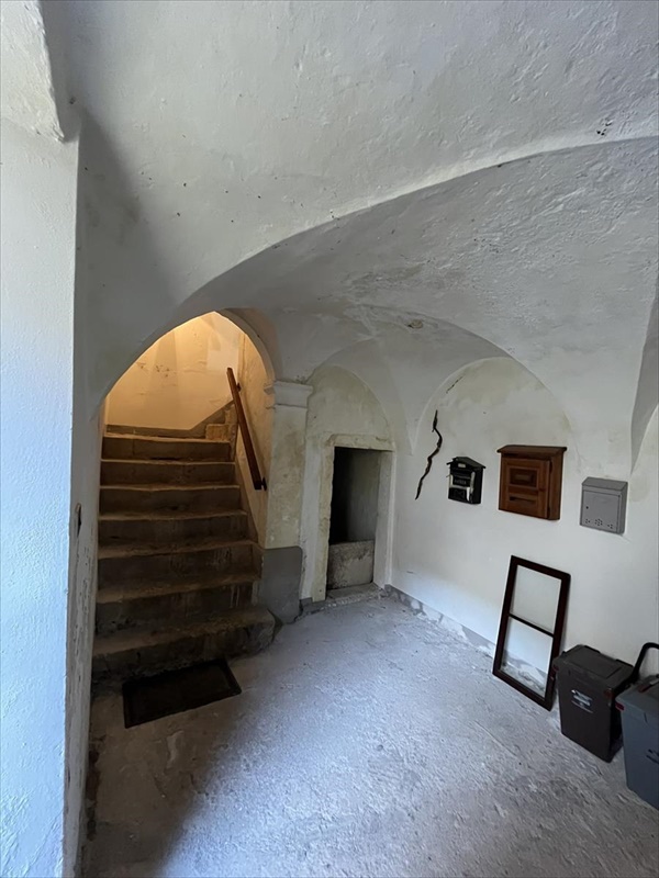 21545.jpg